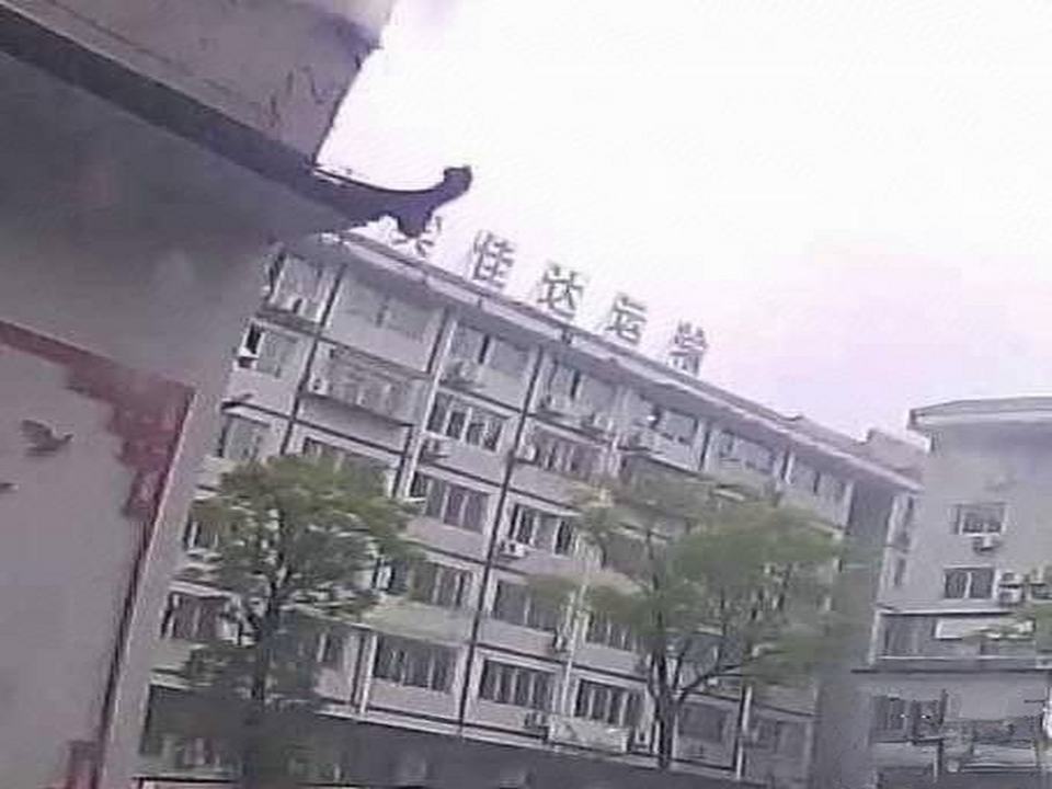 佳达运输有限责任公司