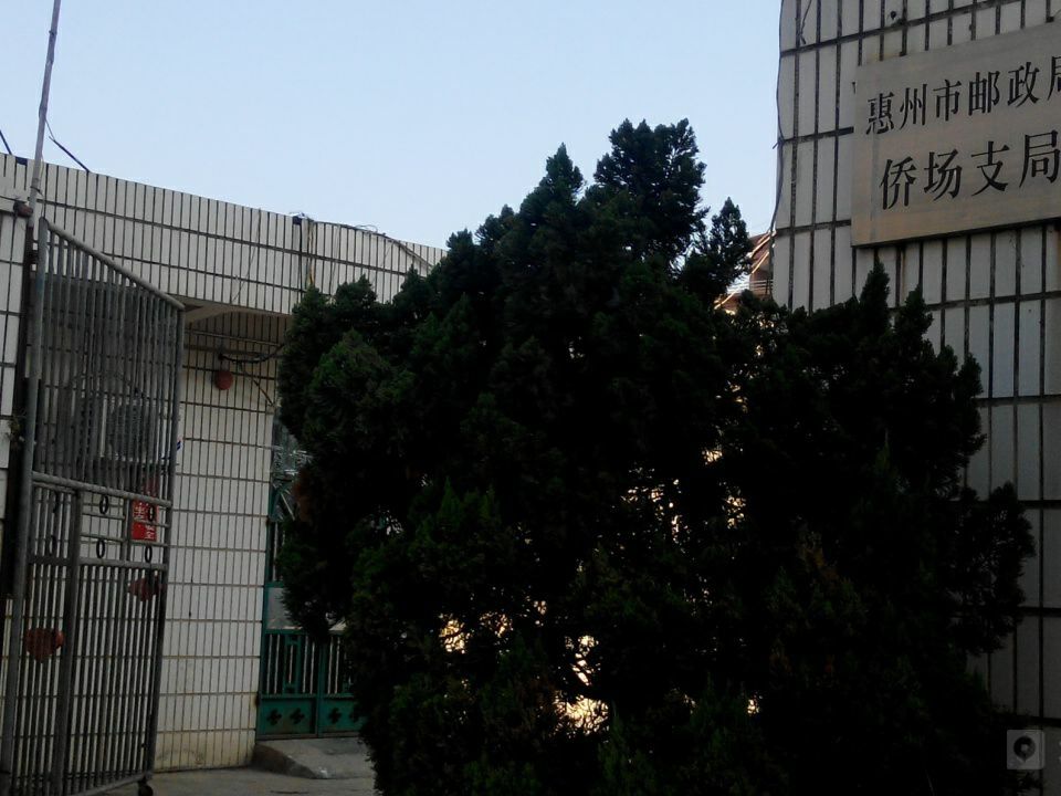 中国邮政(侨场邮政支局)
