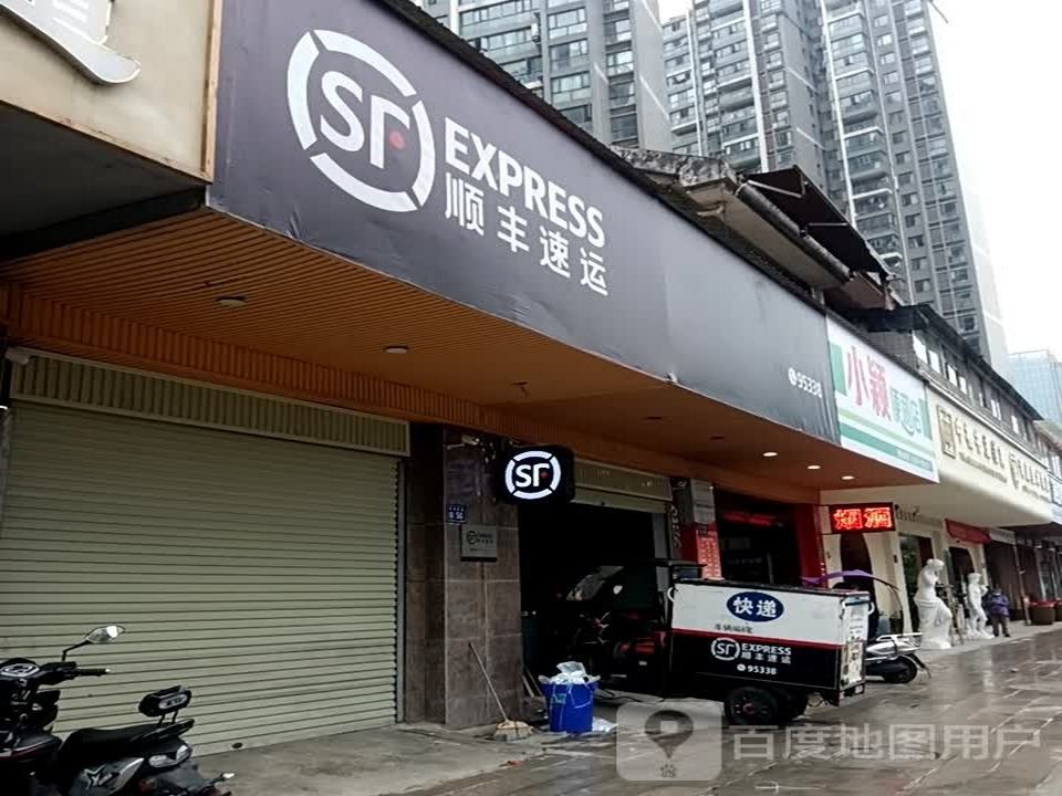 顺丰速运(数博大道长岭南路店)
