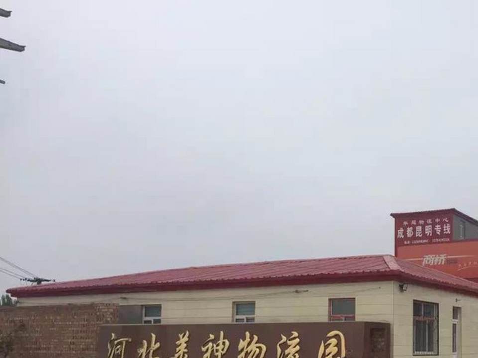 河北美神物流园