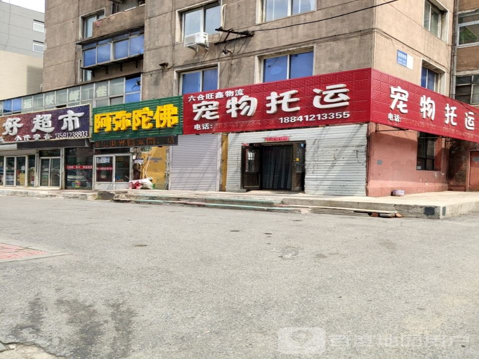 石头宠物托运总部