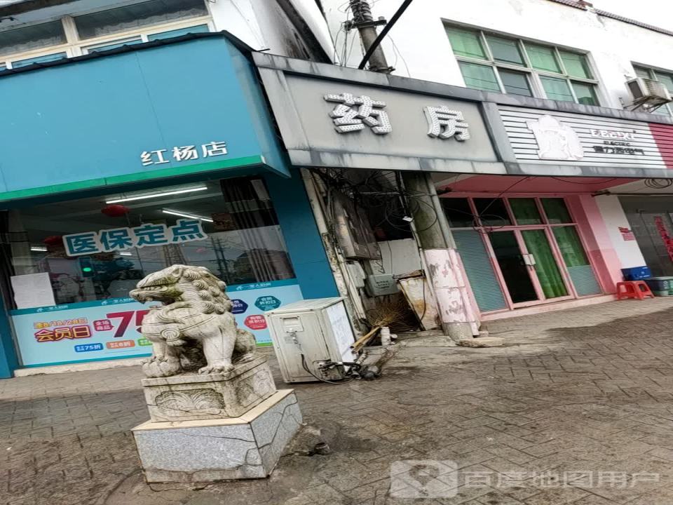 顺丰速运(芜湖湾沚红杨镇店)