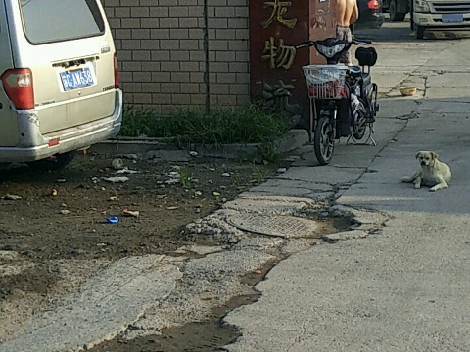 金天龙物流