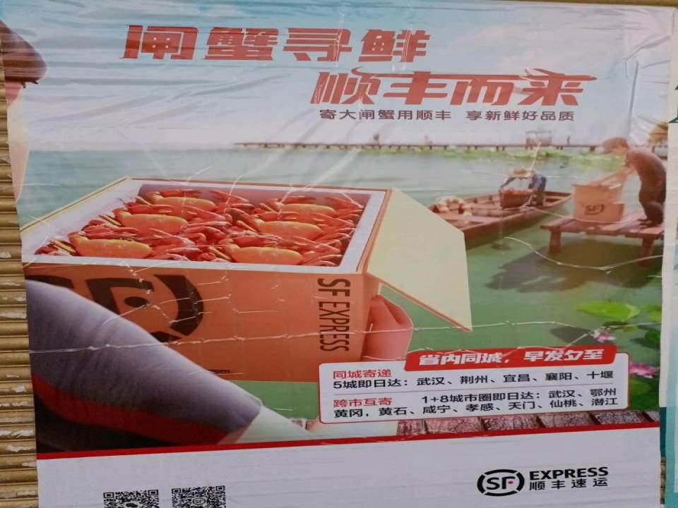 顺丰速运(荆州监利棋盘乡店)