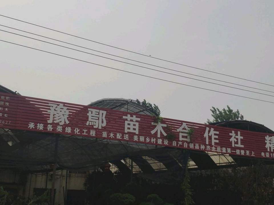 豫鄢苗木配送中心
