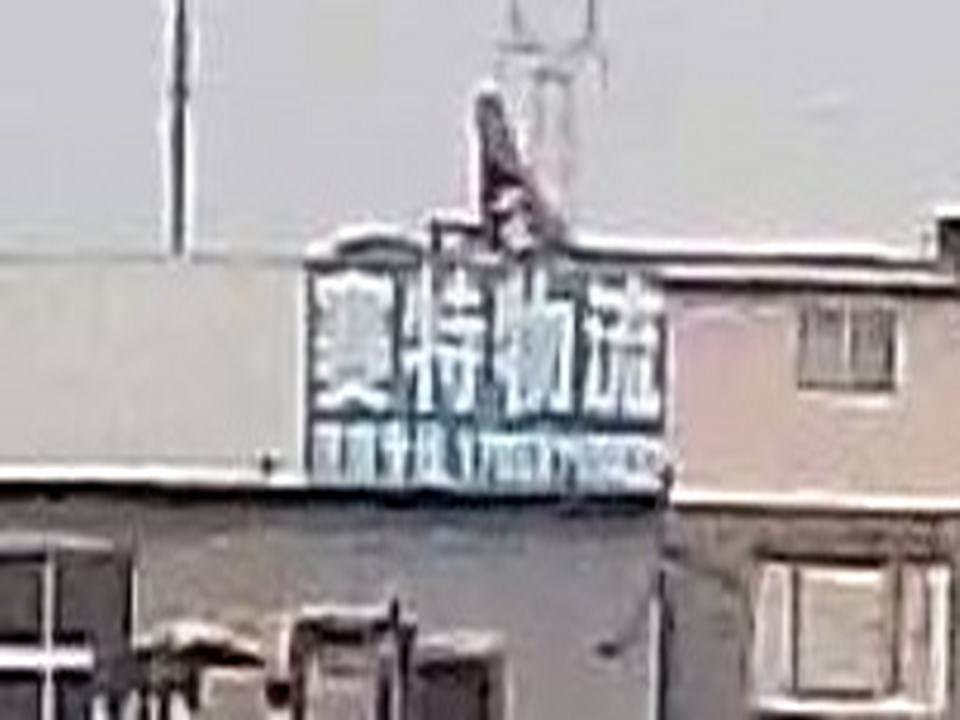 赛特物流