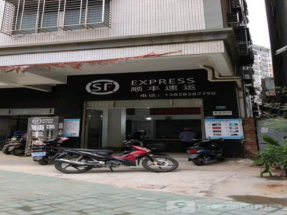 顺丰速运(新安西路店)