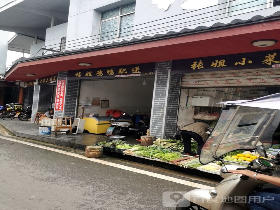 杨姐鸡鸭配送