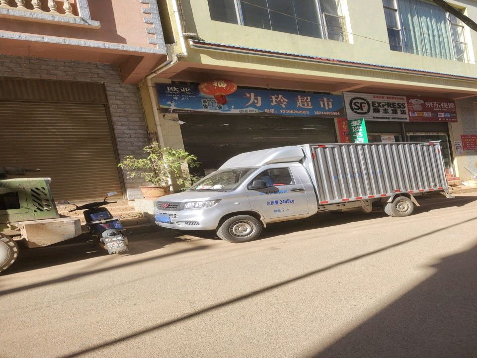 顺丰速运(新太段店)