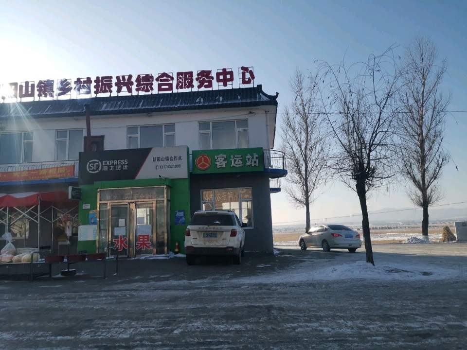 顺丰速运(朝阳山镇合作点)