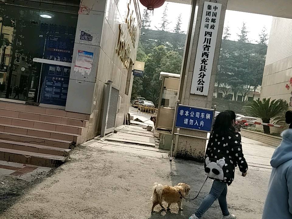 中国邮政集团公司四川省西充县分公司