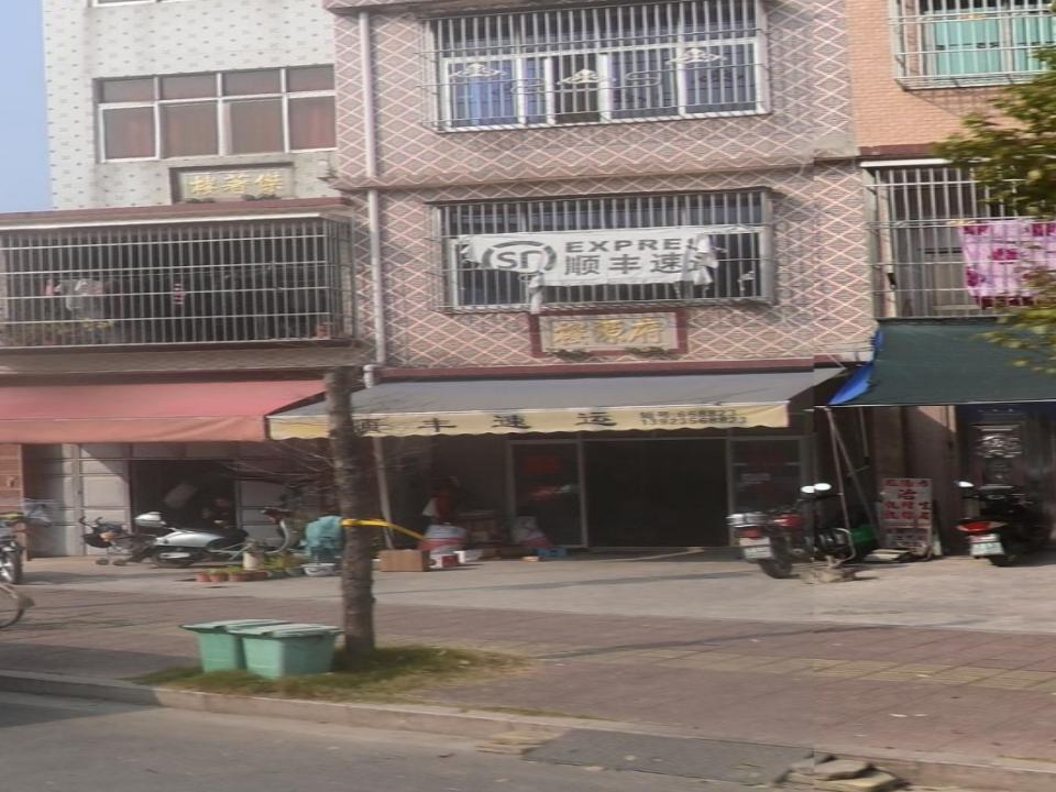 顺丰速运(X100店)