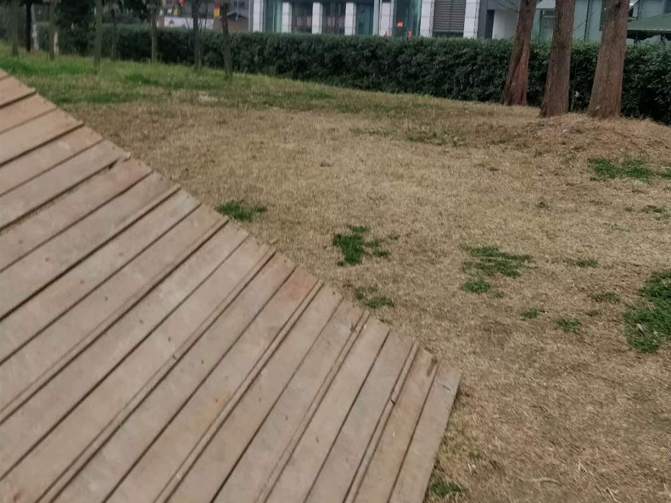 顺丰速运(武侯区金花镇优博广场营业点)