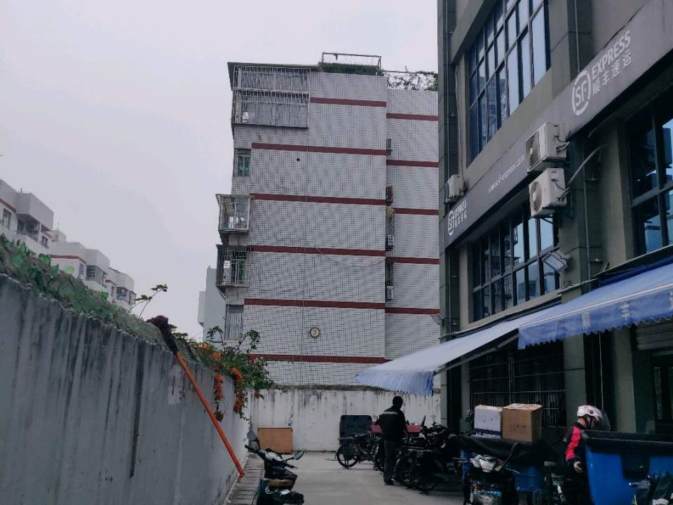 顺丰速运(龙山速运营业点)