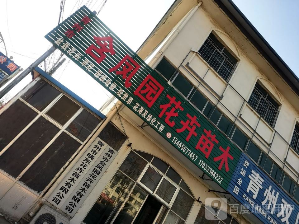 青州双川物流
