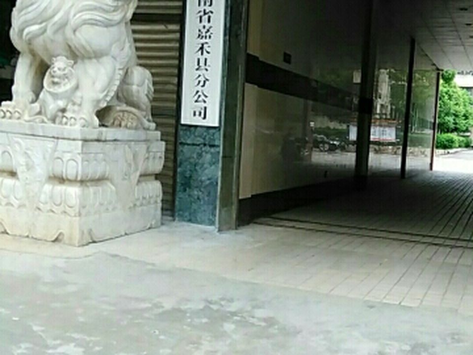 中国邮政(嘉禾县邮政局)