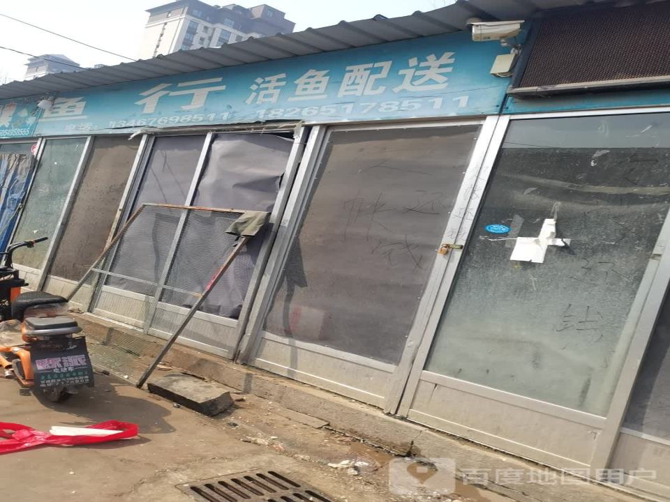 鱼行活鱼配送