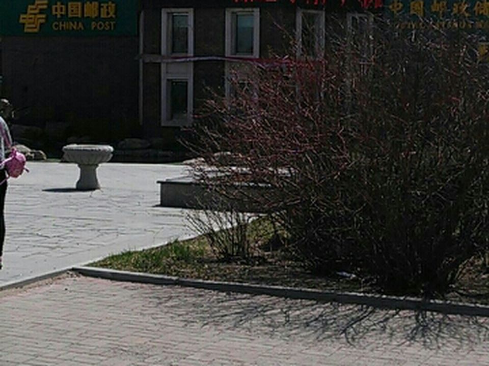 中国邮政(唐轩英郡西北)