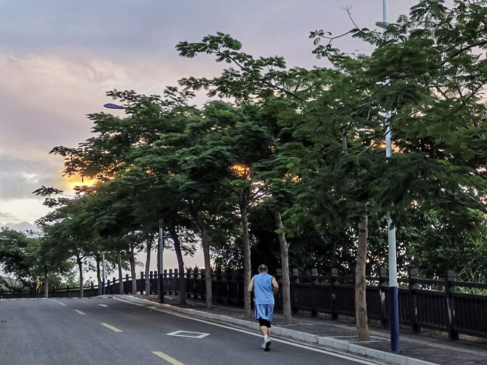 顺丰速运(攀枝花市西区苏铁东路营业点)