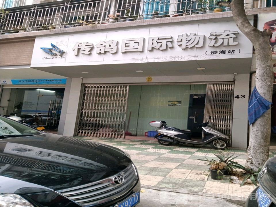 传鸽国际物流(澄海站)