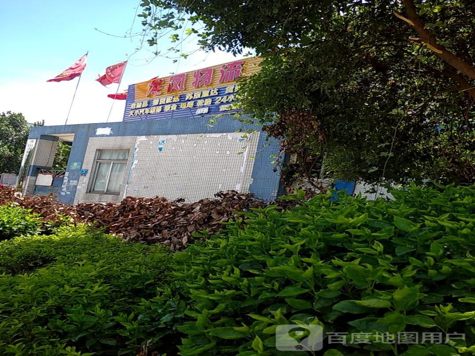 龙凤物流
