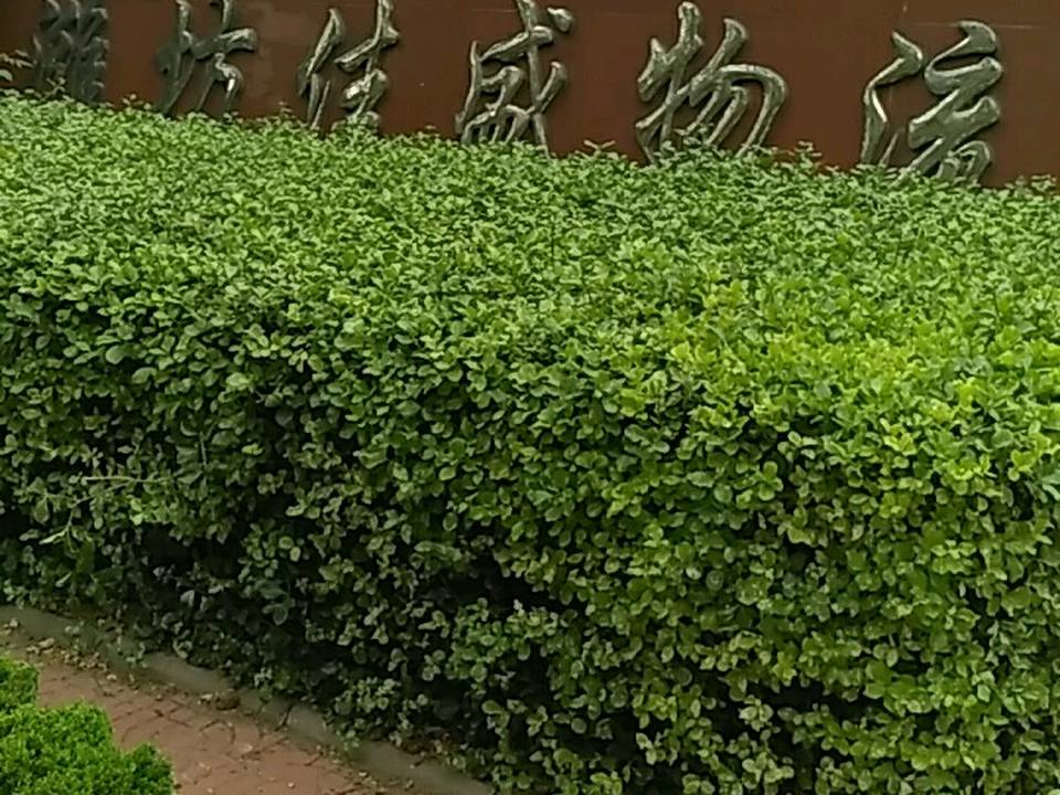 潍坊佳盛物流
