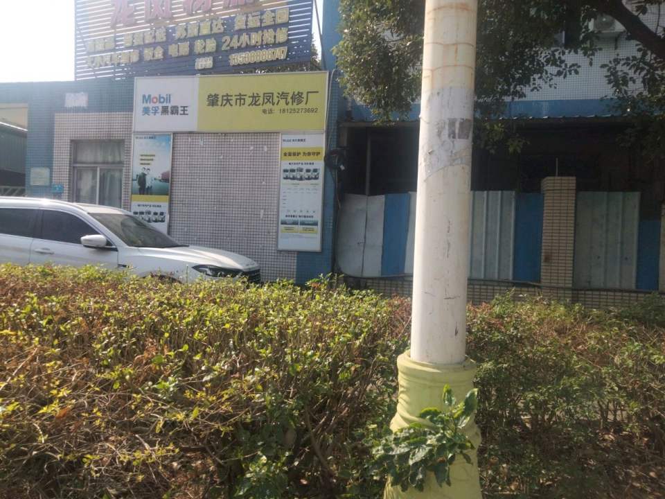 龙凤物流