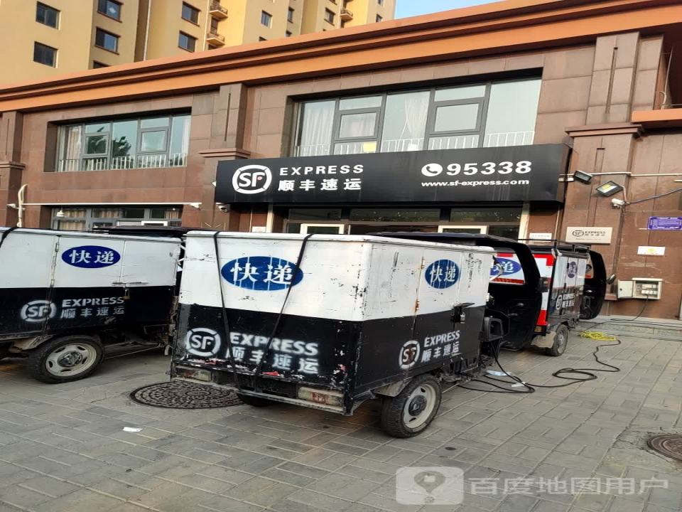 顺丰速运(炮团小区店)