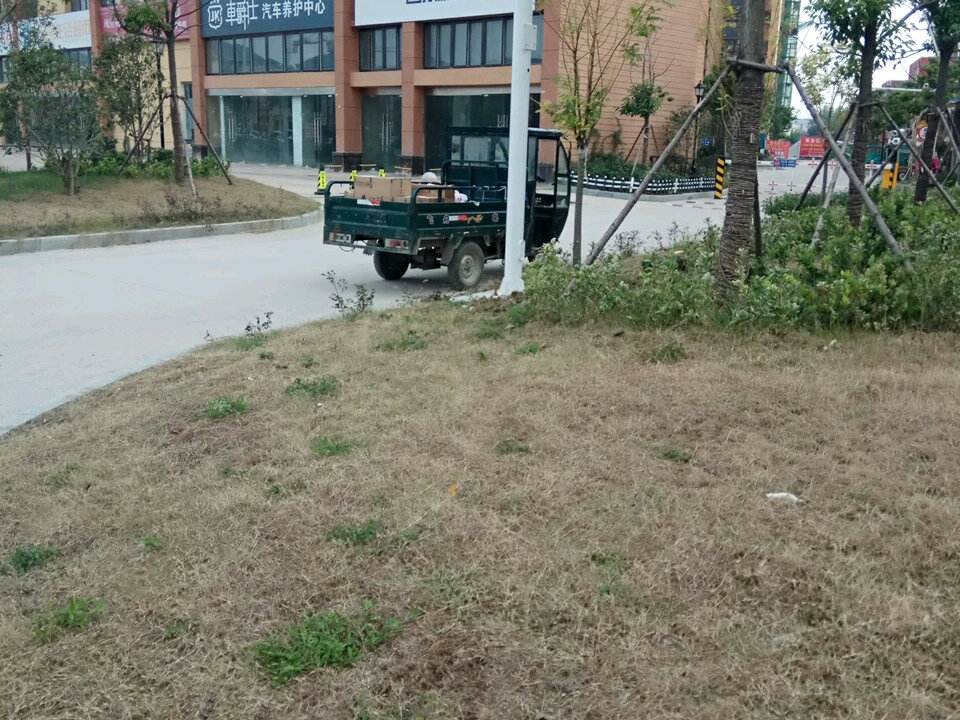 远成物流