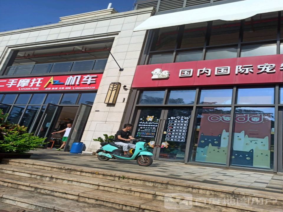 国内国际宠物托运
