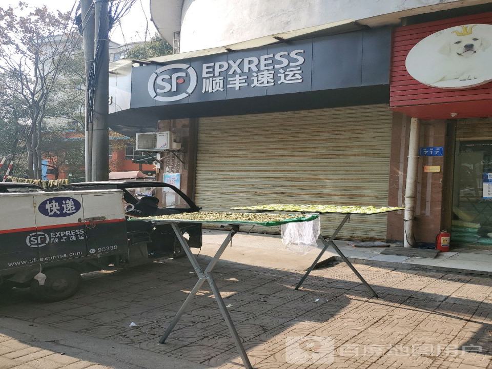 顺丰速运(朝阳路店)
