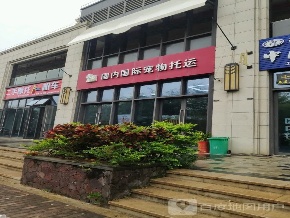 国内国际宠物托运