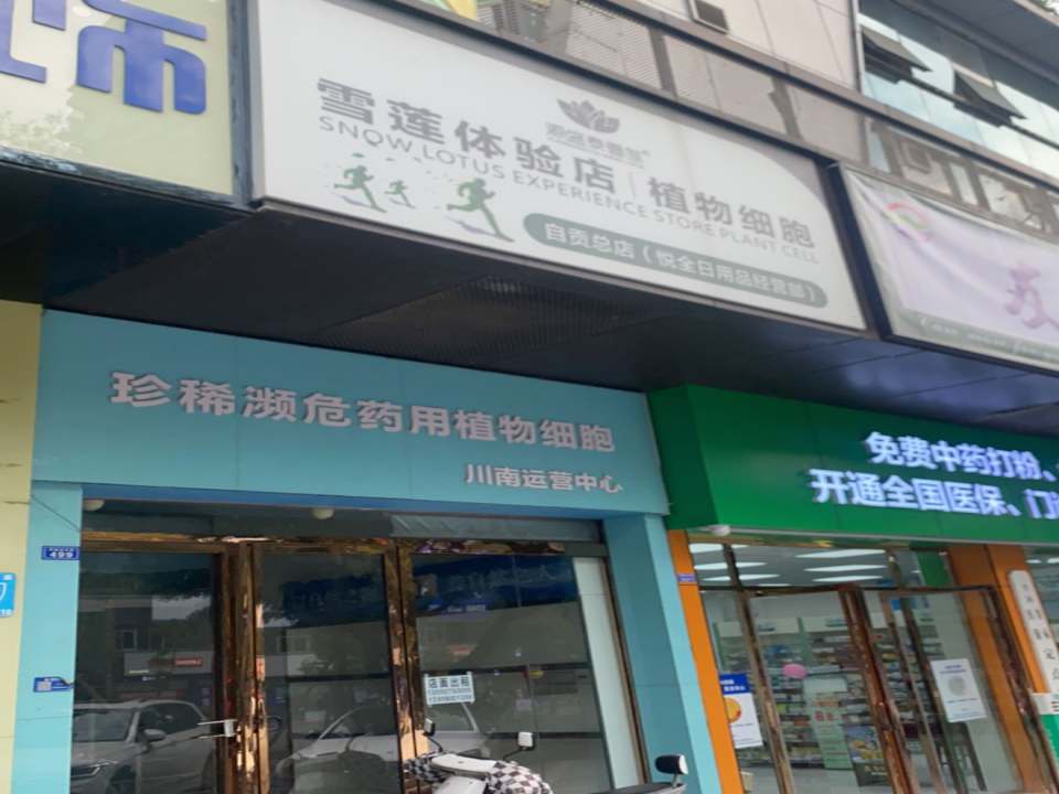 天山雪莲细胞培养物川南运营中心