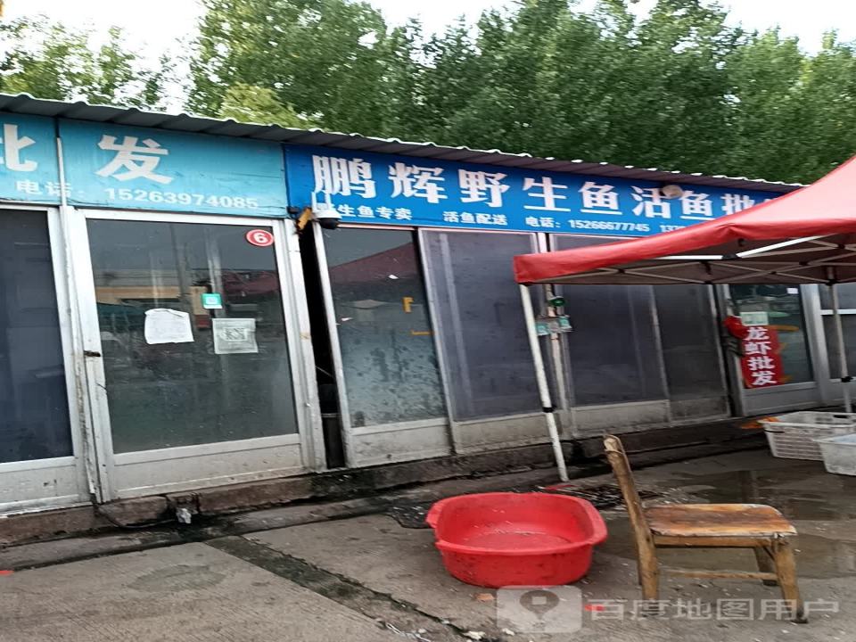鱼行活鱼配送