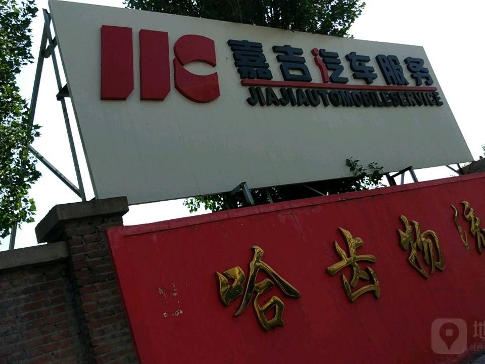 哈齿物流