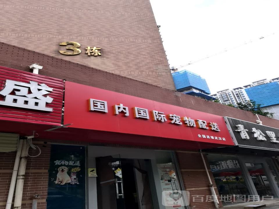 国内国际宠物托运