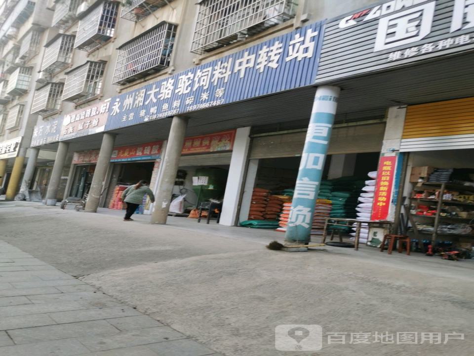 永州湘大骆驼饲料中转站