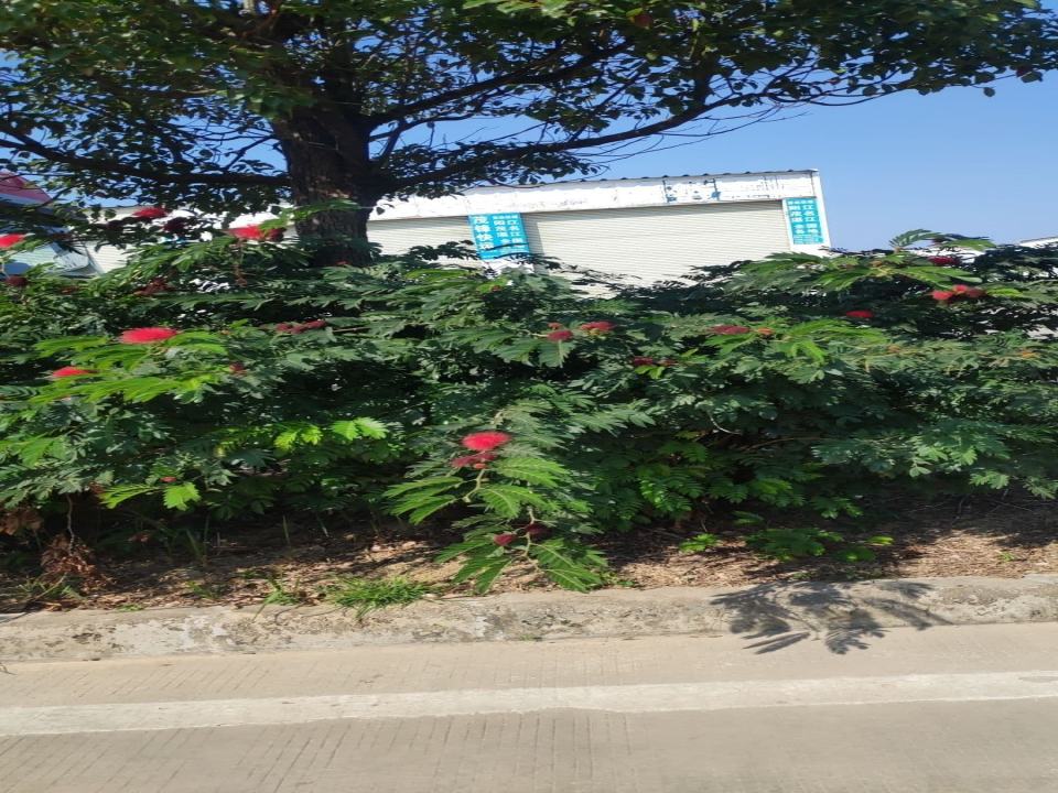 茂锋快运