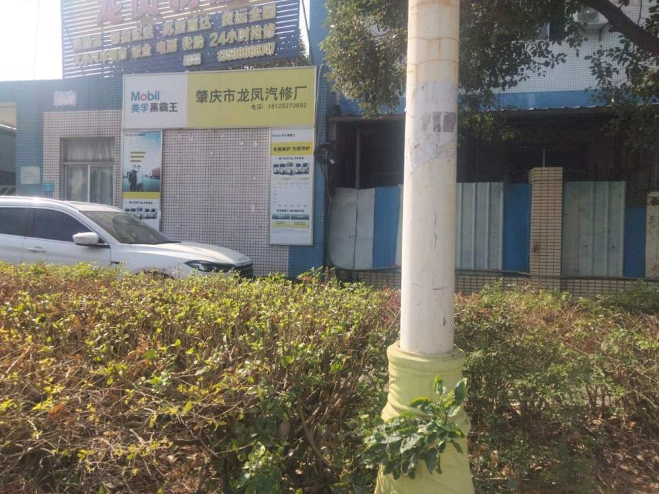 龙凤物流