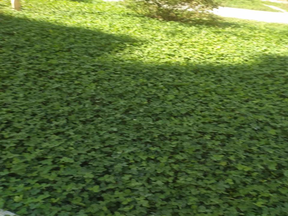 天成阳光新城小区