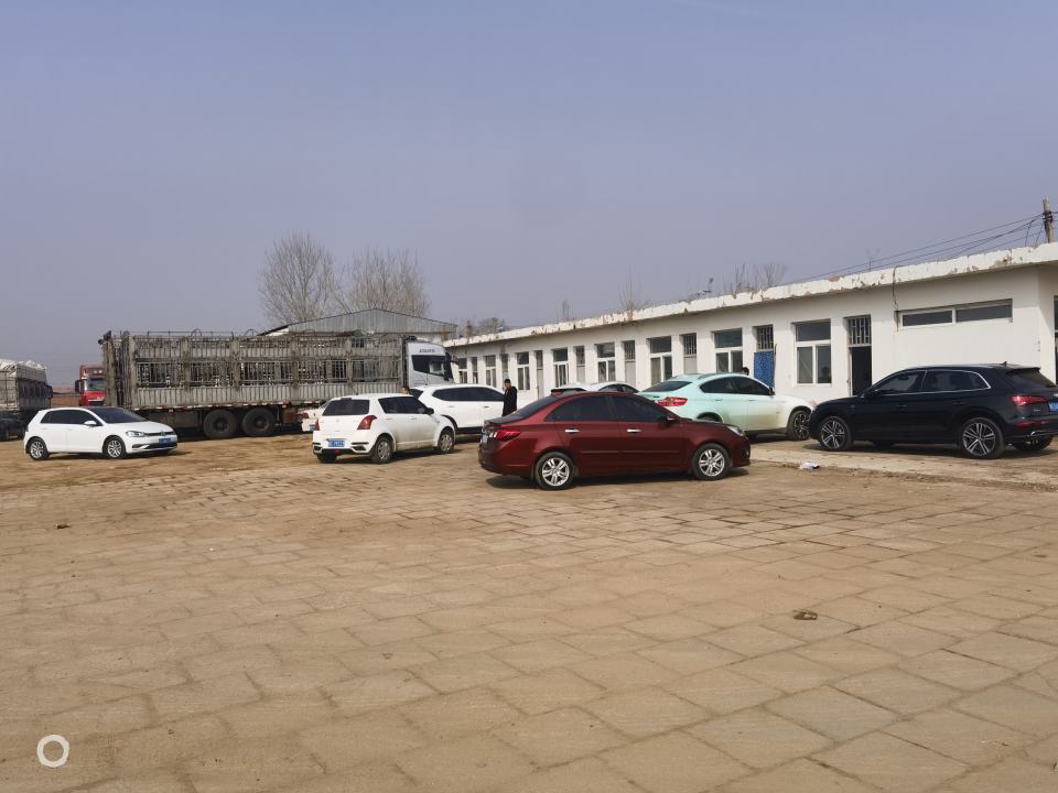 抚宁区乾丰运输有限公司