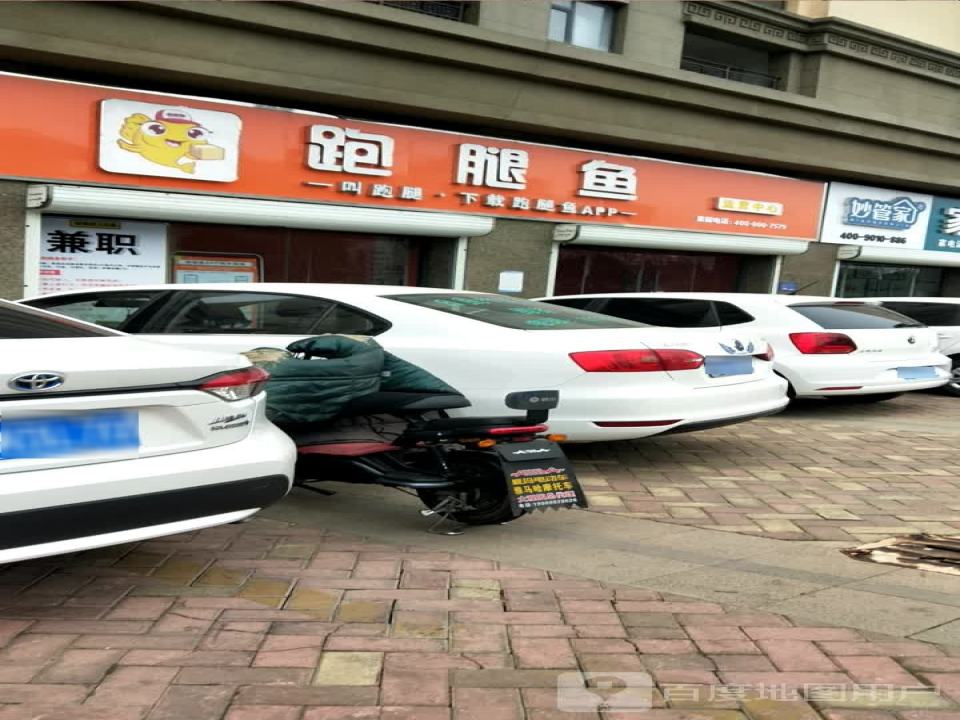 跑腿鱼(郯城运营中心)