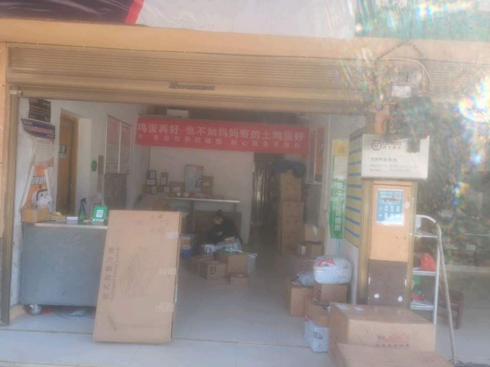 顺丰速运(四新岗镇合作点)