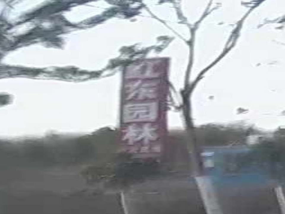 红东园林川店货场