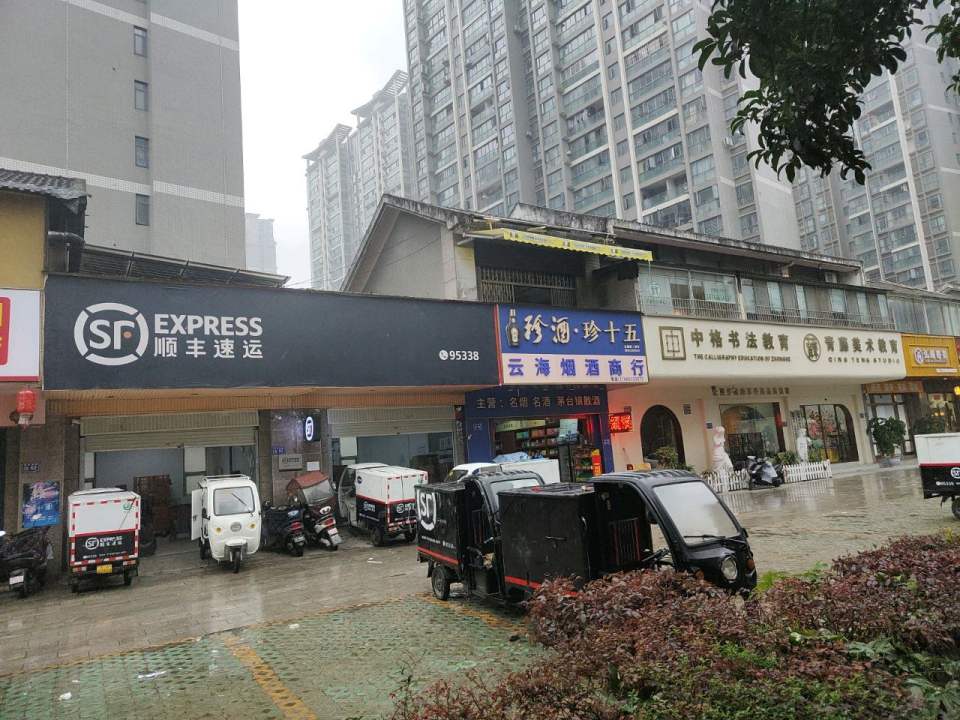 顺丰速运(数博大道长岭南路店)