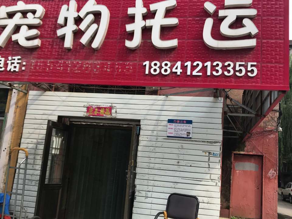 石头宠物托运总部