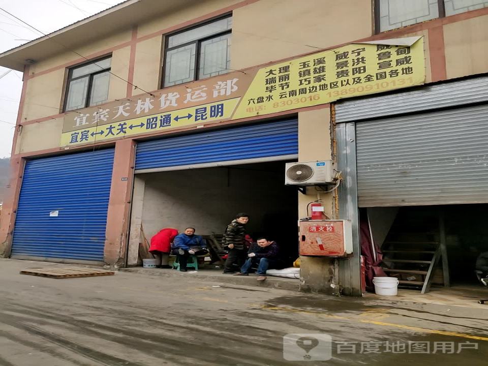 宜宾天林营业部