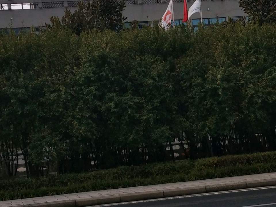 江苏爱福物流有限公司