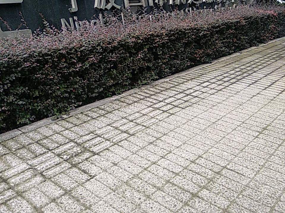 宁波国际航运服务中心