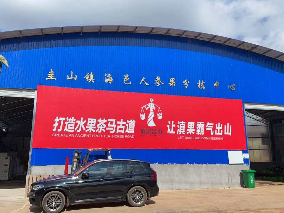 圭山镇海邑人参果分拣中心
